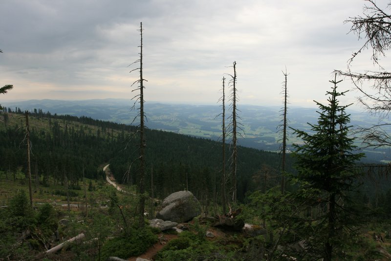 img_7273.jpg
