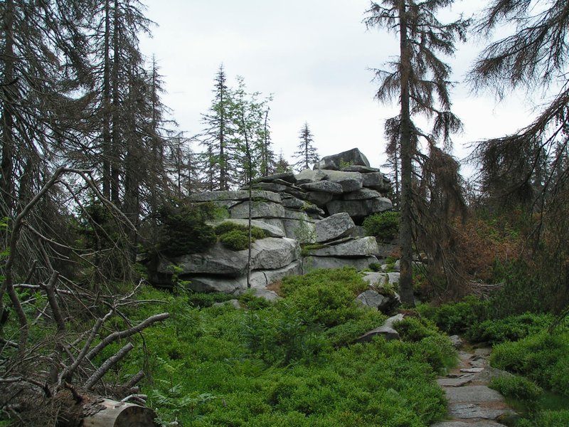 pict8862.jpg