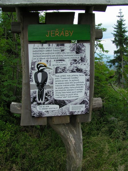 pict8893.jpg