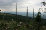 img_7273.jpg
