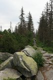 img_7294.jpg