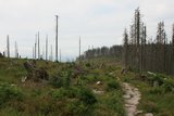 img_7318.jpg