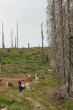 img_7324.jpg