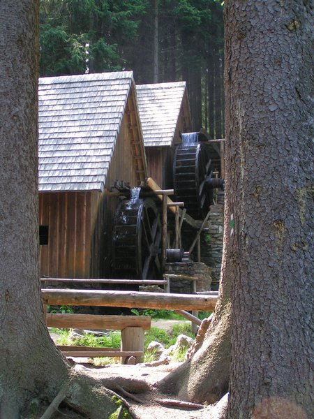 pict8648.jpg