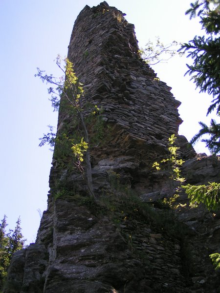 pict8690.jpg