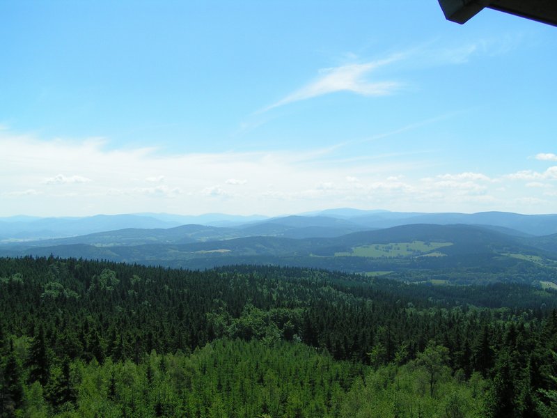 pict8706.jpg