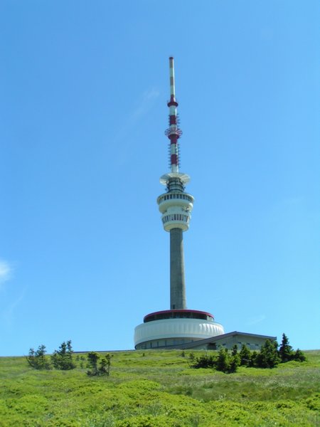 pict8785.jpg