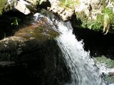 pict8806.jpg
