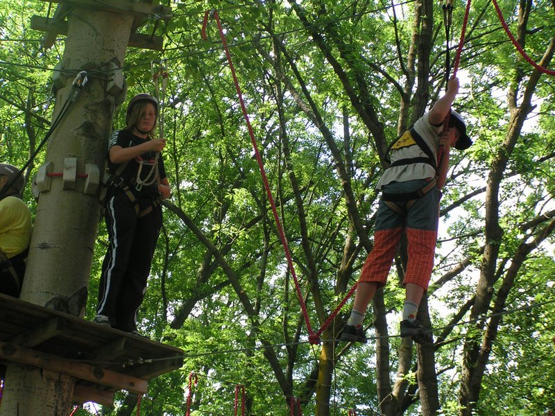 pict8447.jpg