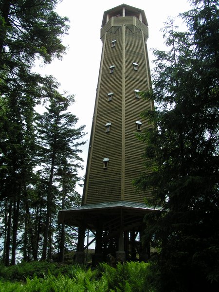 pict8472.jpg