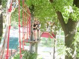 sdc11502.jpg