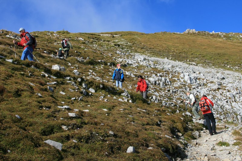 img_7808.jpg