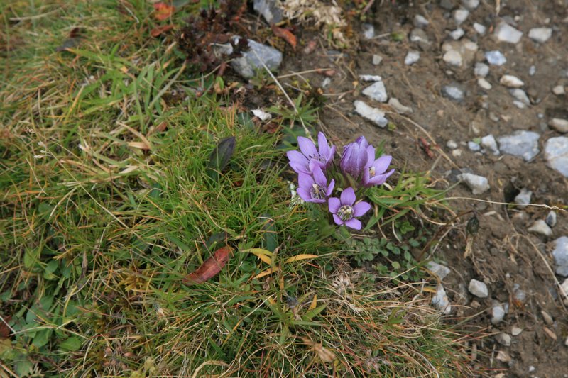img_7847.jpg