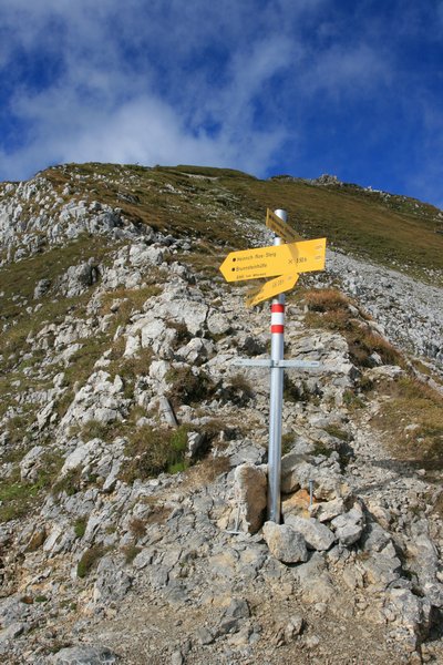 img_7848.jpg