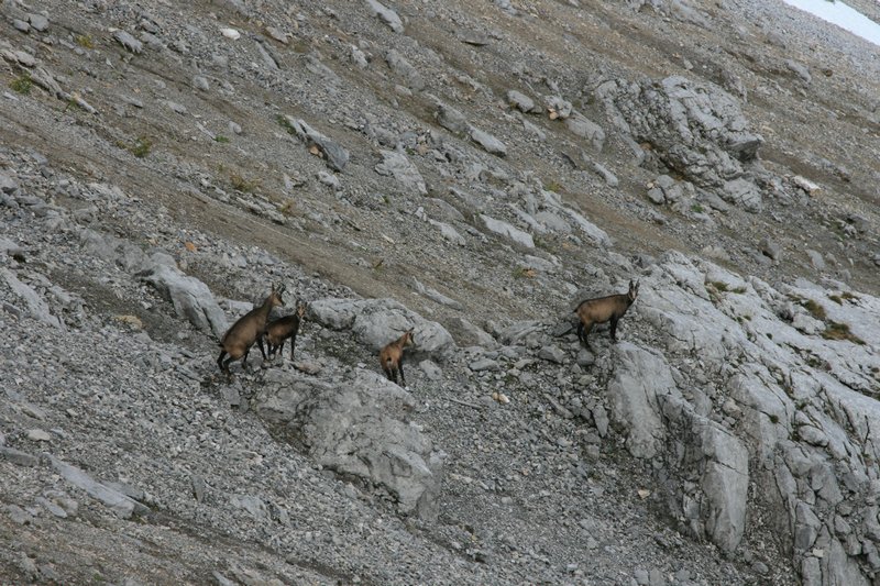 img_7875.jpg