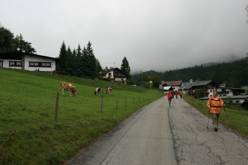 img_7896.jpg