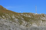 img_7795.jpg