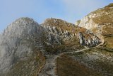 img_7796.jpg