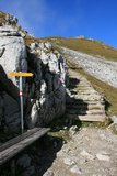 img_7800.jpg