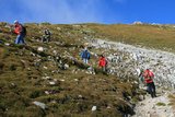 img_7808.jpg