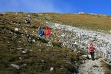 img_7809.jpg