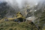 img_7833.jpg