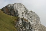 img_7841.jpg