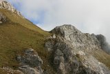 img_7842.jpg