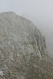 img_7844.jpg