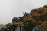 img_7850.jpg