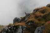img_7851.jpg