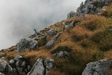img_7853.jpg