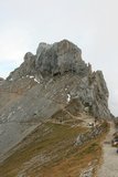 img_7859.jpg