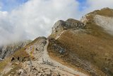 img_7867.jpg