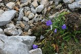 img_7868.jpg