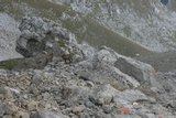 img_7873.jpg