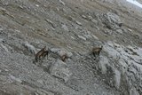 img_7875.jpg