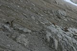 img_7877.jpg