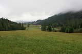 img_7891.jpg