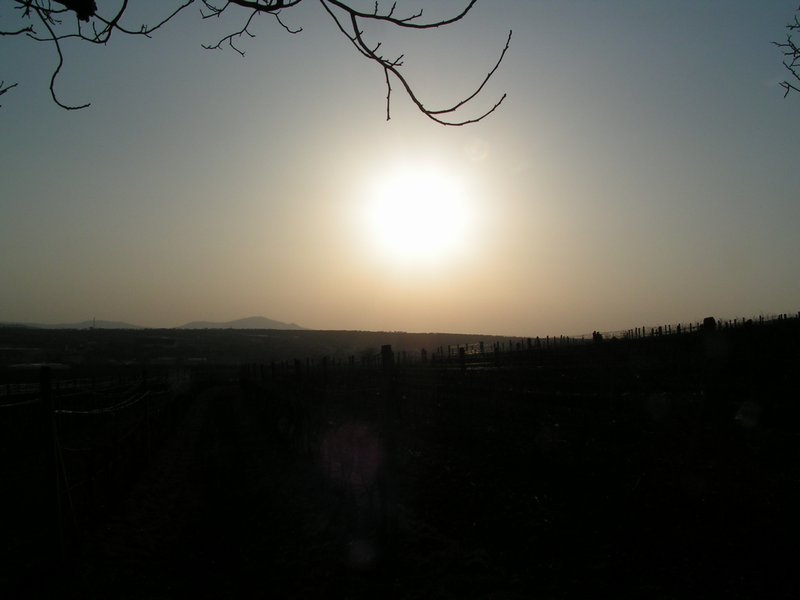 pict7825.jpg