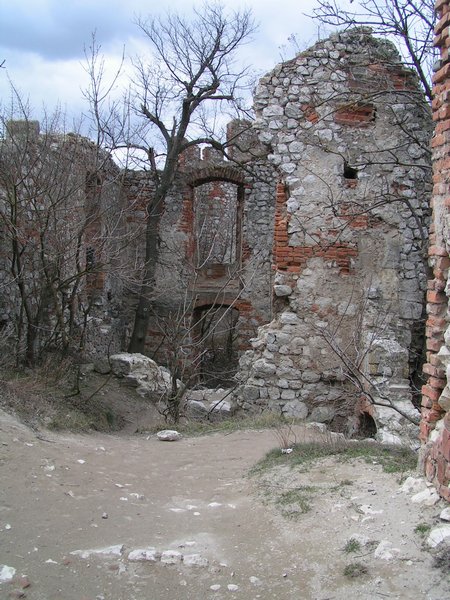 pict7838.jpg