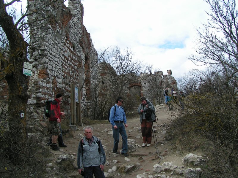 pict7844.jpg