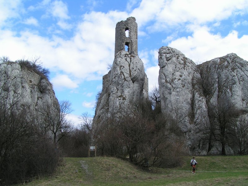 pict7858.jpg