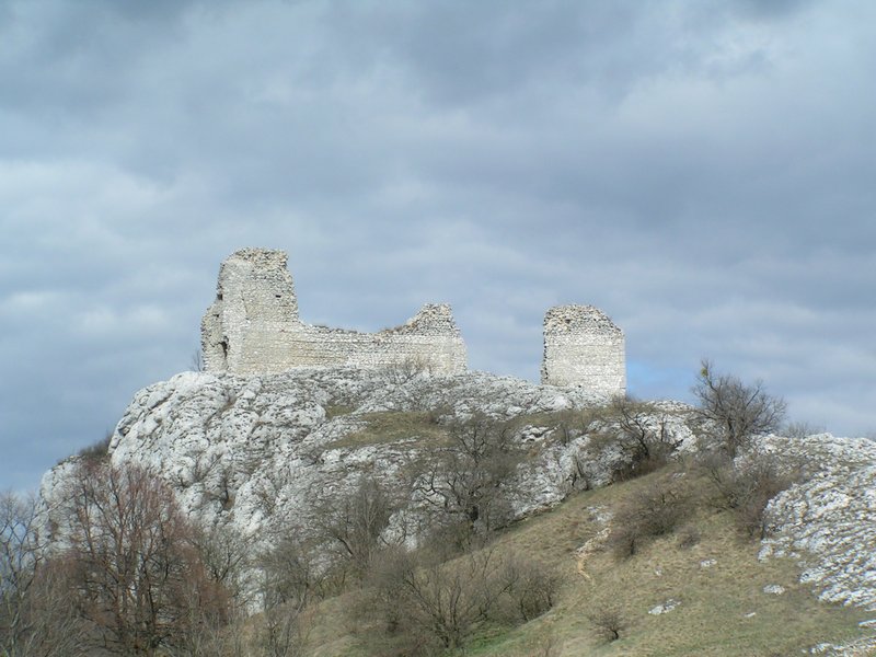pict7868.jpg