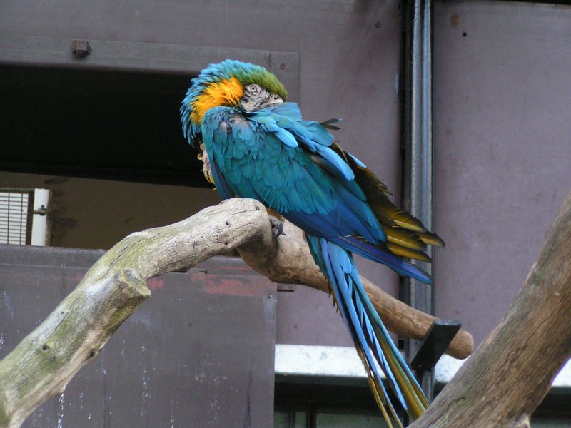 pict7903.jpg