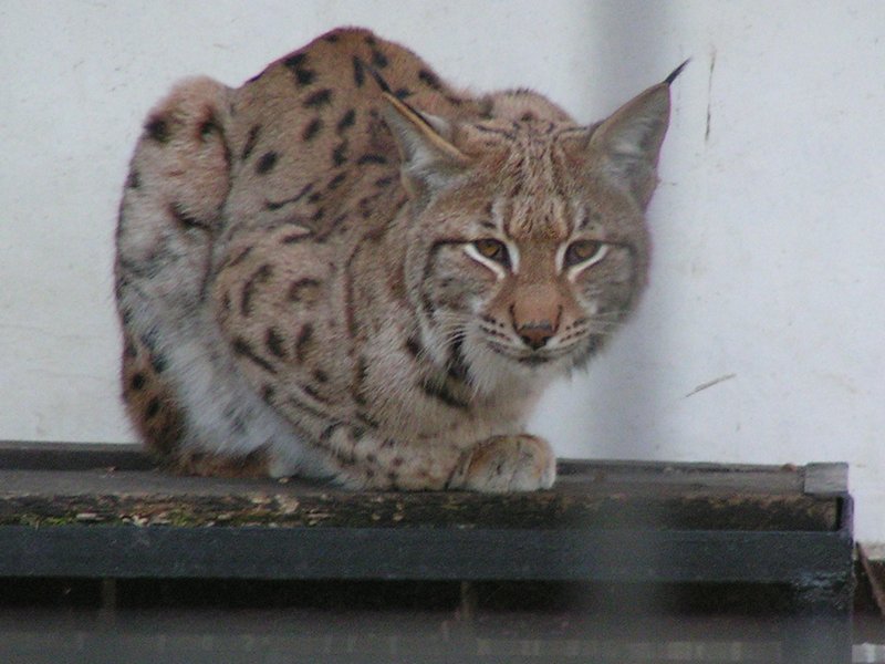 pict7914.jpg