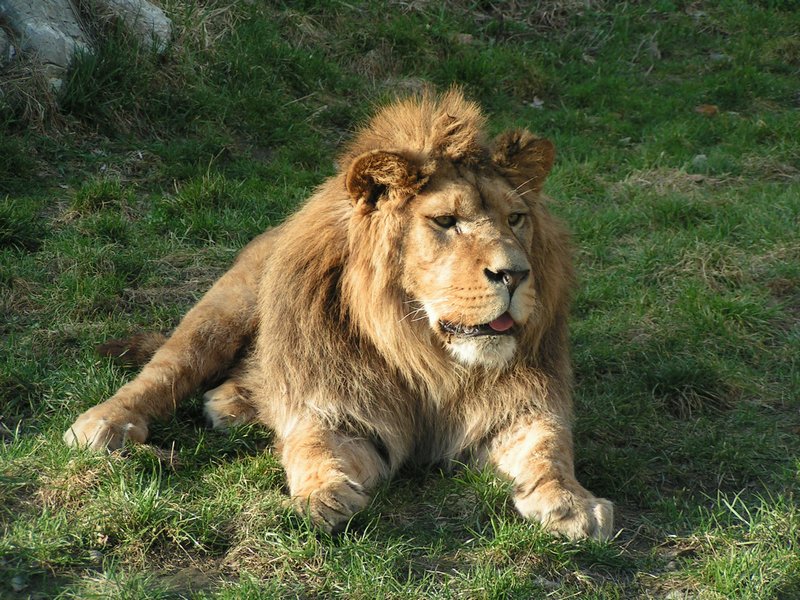 pict7923.jpg