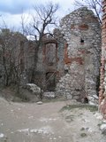 pict7838.jpg