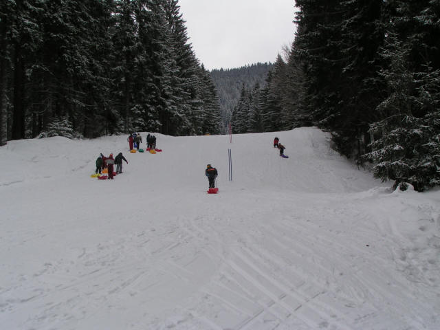 boby_02.jpg