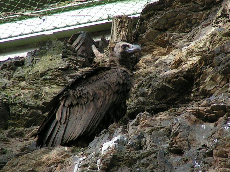 PICT9575.JPG